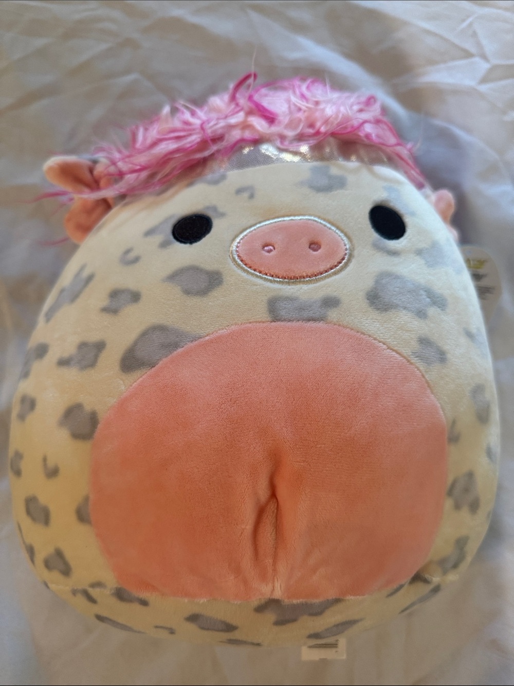 Squishmallow 12in